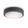 SONNY mennyezeti lámpa antracit  230V LED E27 2x15W IP54